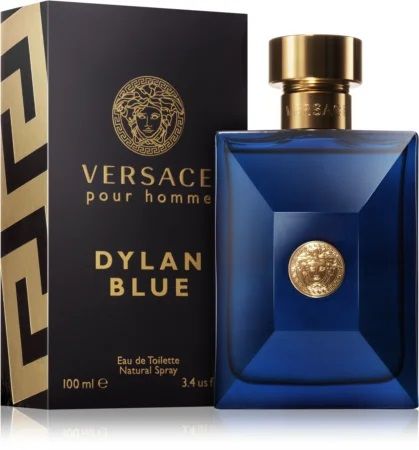 Versace Dylan Blue мужские 100 ml edt Тестер, Италия 00000188-100 фото