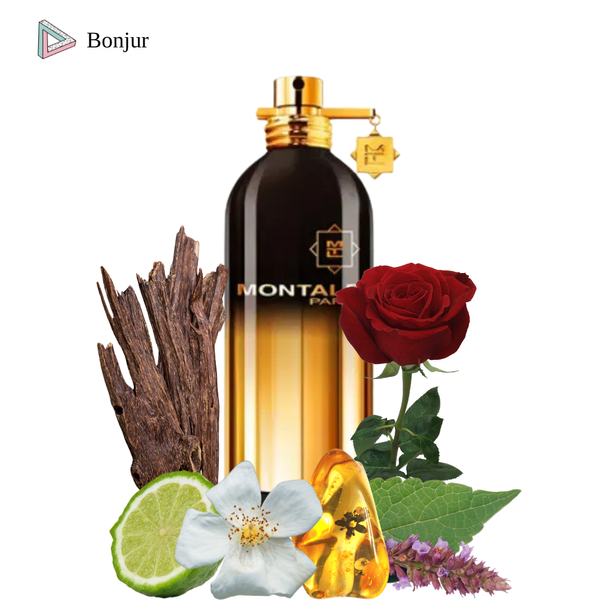 Montale Aoud Night унісекс 100 ml edp, Франція