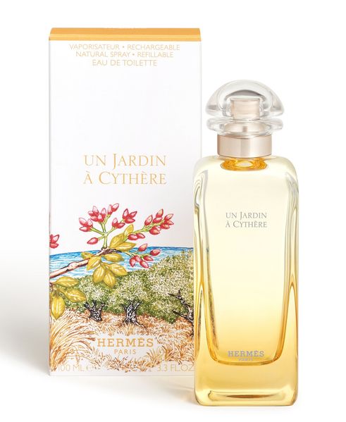 Hermes Un Jardin A Cythere унісекс 100 ml edt Тестер, Франція 00000436-100 фото