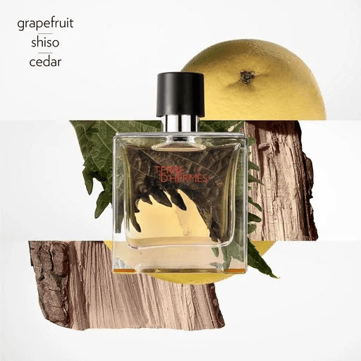 Hermes Terre d'hermes edt 100ml Tester, Франция AM160023 фото