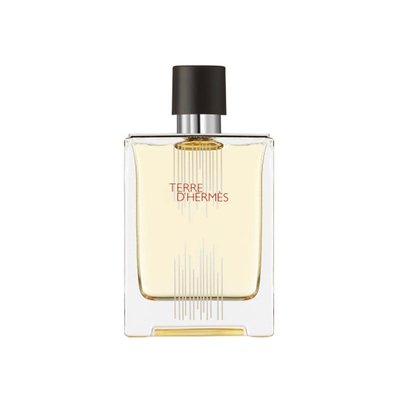 Hermes Terre d´Hermes Flacon edt 100ml Tester, Франция AM160026 фото