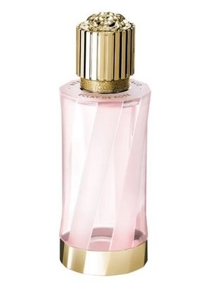 Versace Atelier Eclat De Rose унисекс 100 ml edp Тестер, Италия 00000194-100 фото